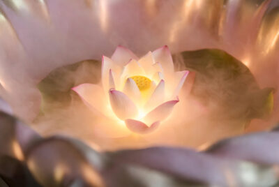 パートナーシップ・ブロック解除コース イメージ